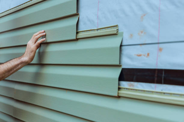 Best Fascia and Soffit Installation  in Pinch, WV